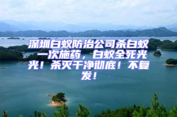 深圳白蟻防治公司殺白蟻 一次施藥，白蟻全死光光！殺滅干凈徹底！不復(fù)發(fā)！