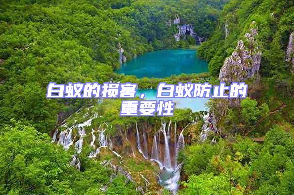 白蟻的損害，白蟻防止的重要性