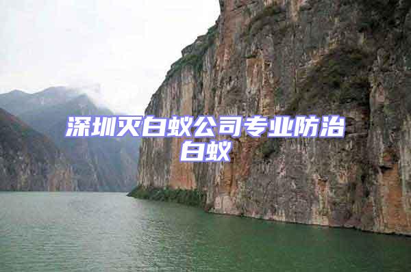 深圳滅白蟻公司專業防治白蟻