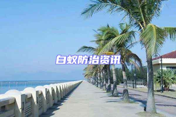 白蟻防治資訊