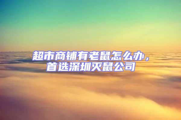 超市商鋪有老鼠怎么辦，首選深圳滅鼠公司