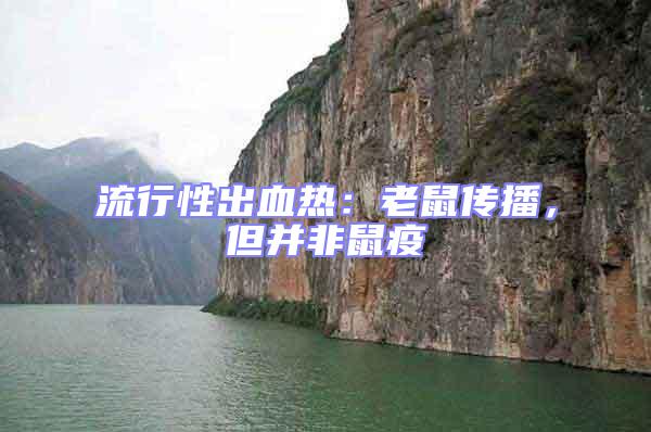 流行性出血熱：老鼠傳播，但并非鼠疫