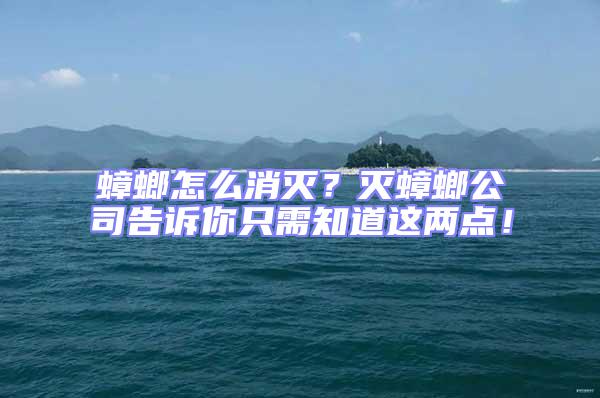 蟑螂怎么消滅？滅蟑螂公司告訴你只需知道這兩點！