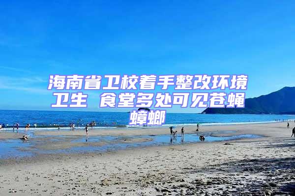 海南省衛校著手整改環境衛生 食堂多處可見蒼蠅蟑螂