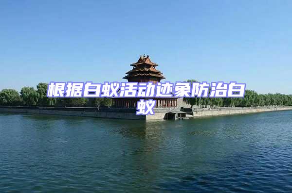 根據白蟻活動跡象防治白蟻