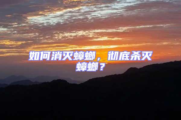 如何消滅蟑螂，徹底殺滅蟑螂？