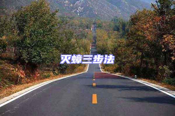 滅蟑三步法