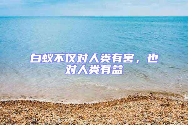 白蟻不僅對(duì)人類有害，也對(duì)人類有益