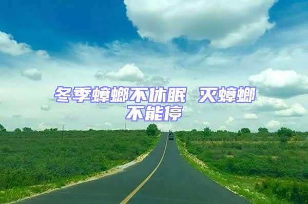 冬季蟑螂不休眠 滅蟑螂不能停