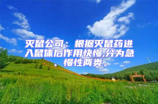 滅鼠公司：根據滅鼠藥進入鼠體后作用快慢,分為急、慢性兩類。