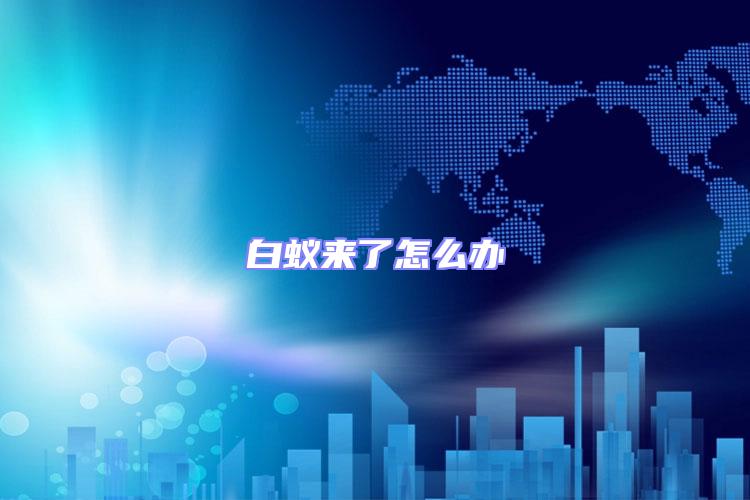 白蟻來了怎么辦