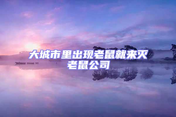 大城市里出現(xiàn)老鼠就來滅老鼠公司