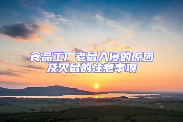 食品工廠老鼠入侵的原因及滅鼠的注意事項