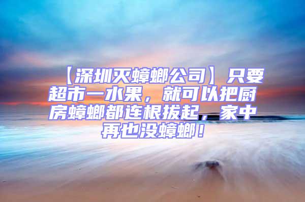 【深圳滅蟑螂公司】只要超市一水果，就可以把廚房蟑螂都連根拔起，家中再也沒蟑螂！
