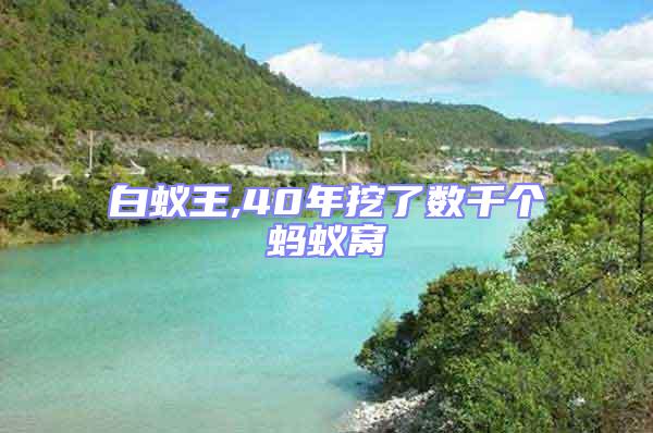 白蟻王,40年挖了數千個螞蟻窩