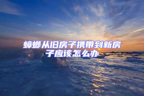 蟑螂從舊房子攜帶到新房子應該怎么辦