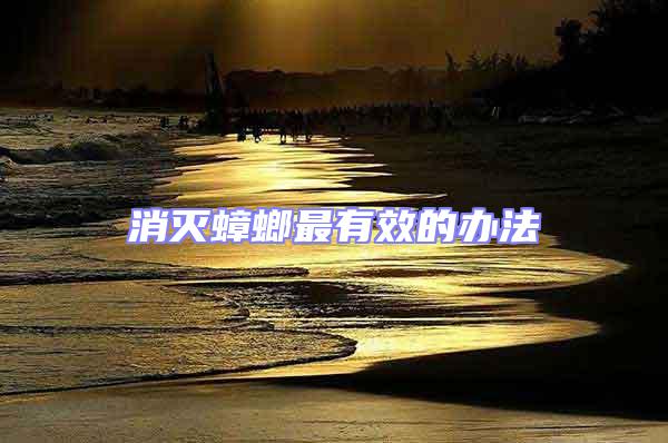 消滅蟑螂最有效的辦法