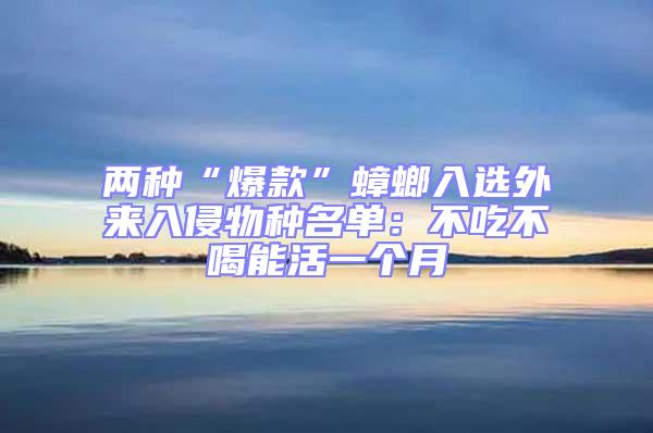 兩種“爆款”蟑螂入選外來(lái)入侵物種名單：不吃不喝能活一個(gè)月