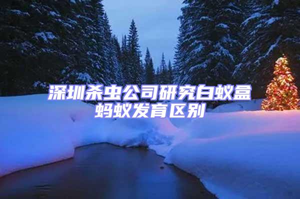 深圳殺蟲公司研究白蟻盒螞蟻發育區別