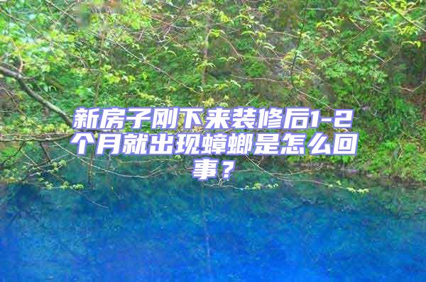 新房子剛下來裝修后1-2個月就出現蟑螂是怎么回事？