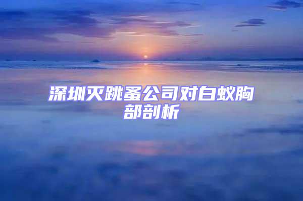 深圳滅跳蚤公司對白蟻胸部剖析