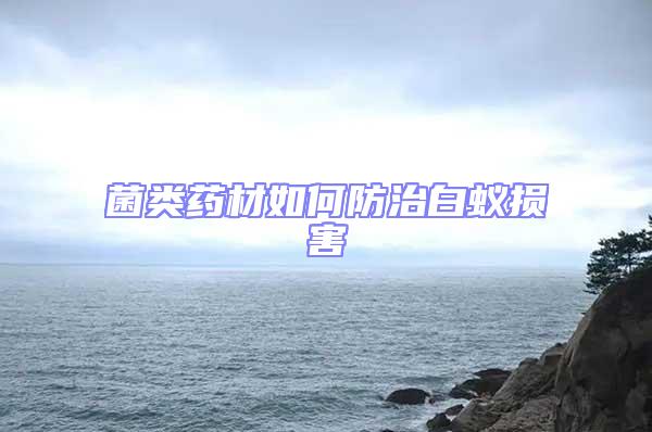 菌類藥材如何防治白蟻損害
