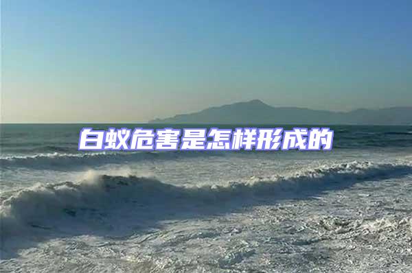 白蟻危害是怎樣形成的