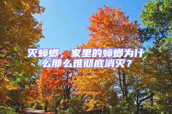 滅蟑螂，家里的蟑螂為什么那么難徹底消滅？