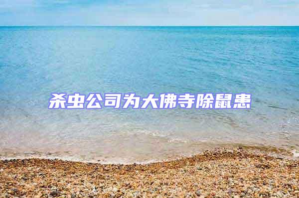 殺蟲公司為大佛寺除鼠患