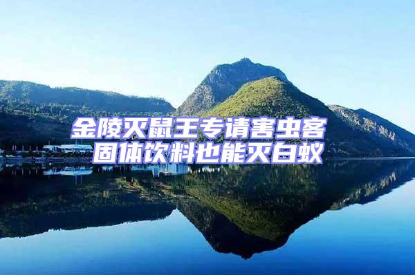 金陵滅鼠王專請害蟲客 固體飲料也能滅白蟻