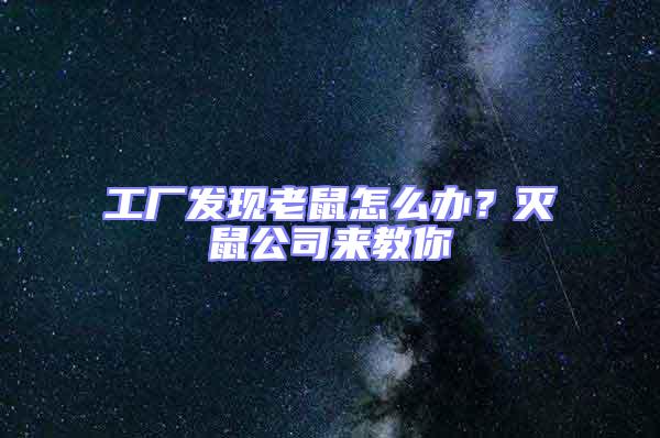 工廠(chǎng)發(fā)現(xiàn)老鼠怎么辦？滅鼠公司來(lái)教你
