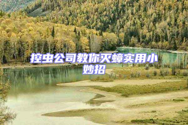 控蟲公司教你滅蟑實用小妙招