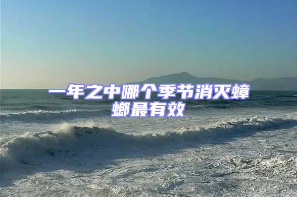 一年之中哪個季節消滅蟑螂最有效