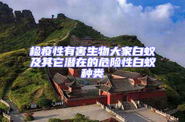 檢疫性有害生物大家白蟻及其它潛在的危險性白蟻種類