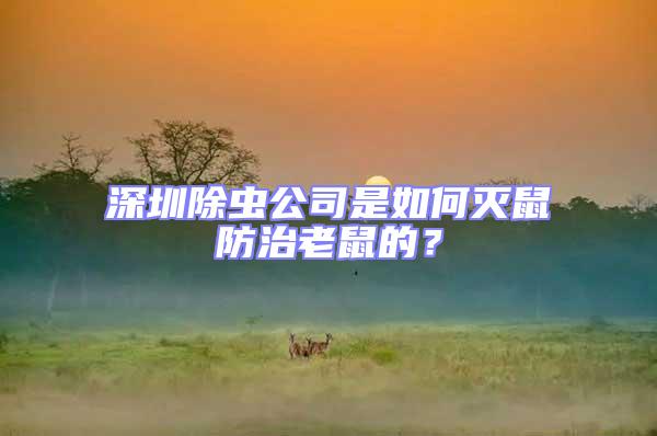 深圳除蟲公司是如何滅鼠防治老鼠的？