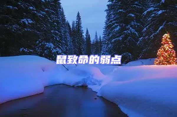 鼠致命的弱點