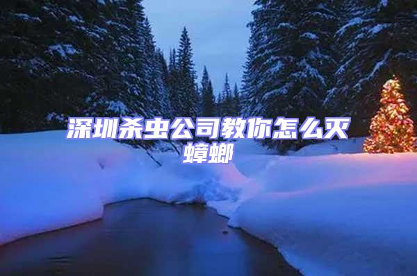 深圳殺蟲公司教你怎么滅蟑螂
