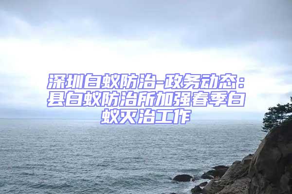 深圳白蟻防治-政務動態：縣白蟻防治所加強春季白蟻滅治工作