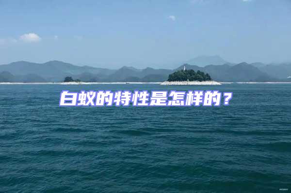 白蟻的特性是怎樣的？