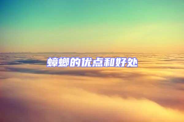 蟑螂的優點和好處