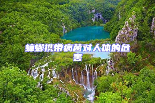 蟑螂攜帶病菌對人體的危害