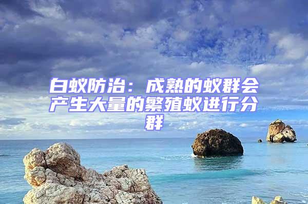 白蟻防治：成熟的蟻群會產生大量的繁殖蟻進行分群