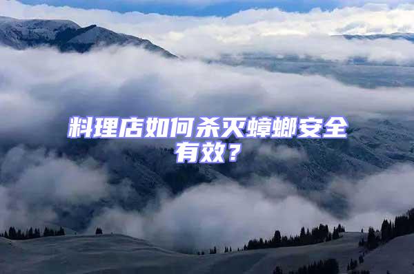料理店如何殺滅蟑螂安全有效？