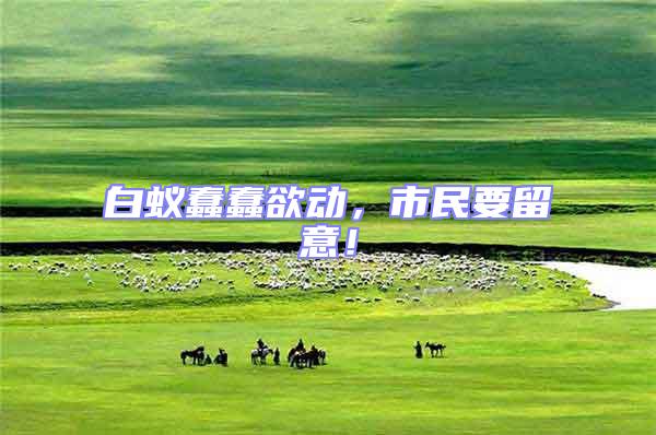 白蟻蠢蠢欲動，市民要留意！