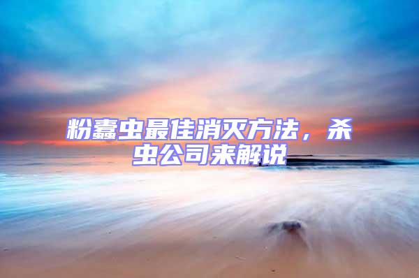 粉蠹蟲最佳消滅方法，殺蟲公司來解說