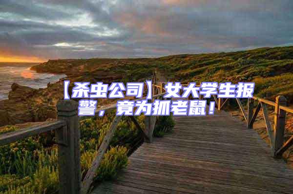 【殺蟲公司】女大學生報警，竟為抓老鼠！