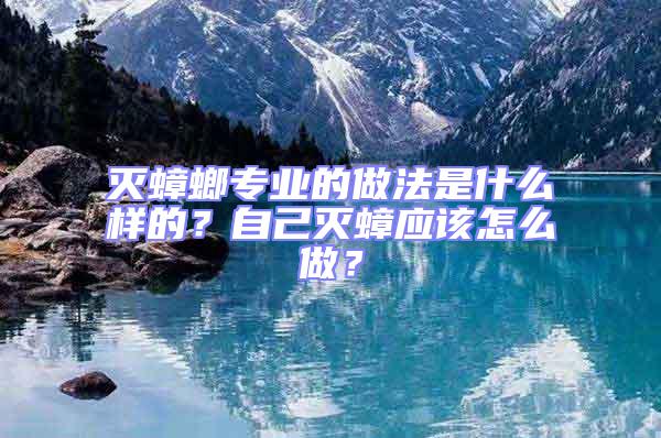 滅蟑螂專業的做法是什么樣的？自己滅蟑應該怎么做？