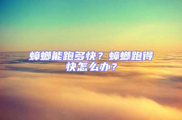 蟑螂能跑多快？蟑螂跑得快怎么辦？