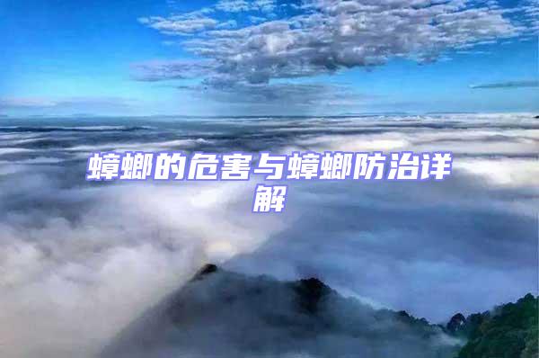 蟑螂的危害與蟑螂防治詳解