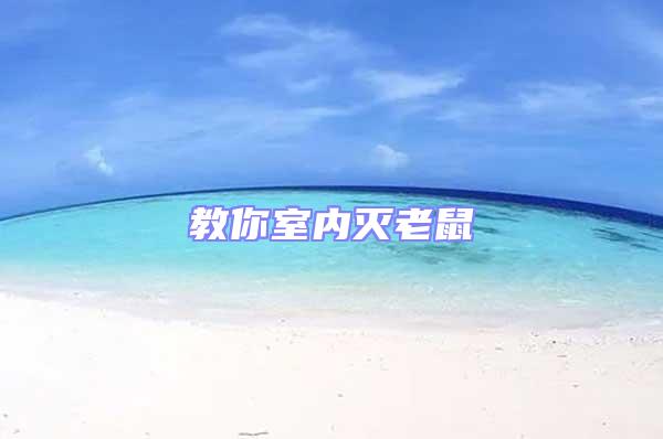 教你室內滅老鼠